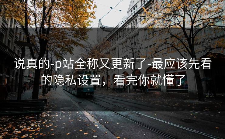 说真的-p站全称又更新了-最应该先看的隐私设置，看完你就懂了