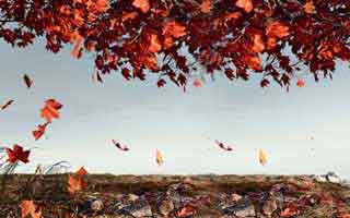 人人影视深度揭秘:八卦风波背后,神秘人在粉丝见面会的角色疯狂令人意外